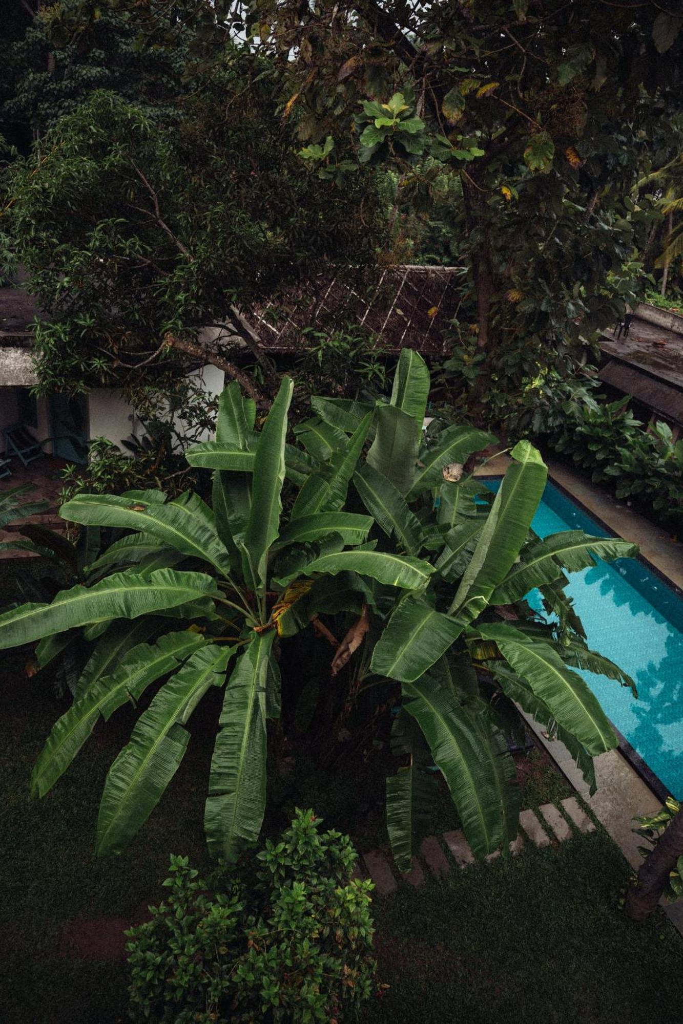 Paddlecult Surf Retreat Acomodação com café da manhã Varkala Exterior foto